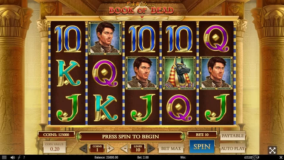 Book of Dead Slot Vorschau