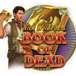 Book of Dead Slot Cover