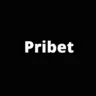Pribet logo logo image for pribet